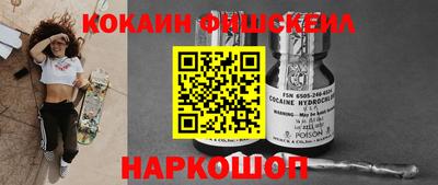 индика Рузаевка