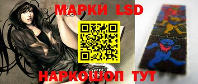индика Рузаевка